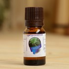 Эфирное масло «Цитронелла», флакон-капельница, аннотация, репеллент 10 мл - Фото 2