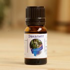 Эфирное масло «Эвкалипт», флакон-капельница, аннотация, 10 мл, дезинфицирующее - Фото 2