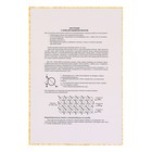 Вышивка бисером «Святая Преподобномученица Великая Княгиня Елизавета», размер основы: 21,5×29 см - Фото 4