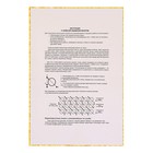 Вышивка бисером "Святой Мученик Андрей Первозванный", размер основы 21,5×29 см - Фото 4