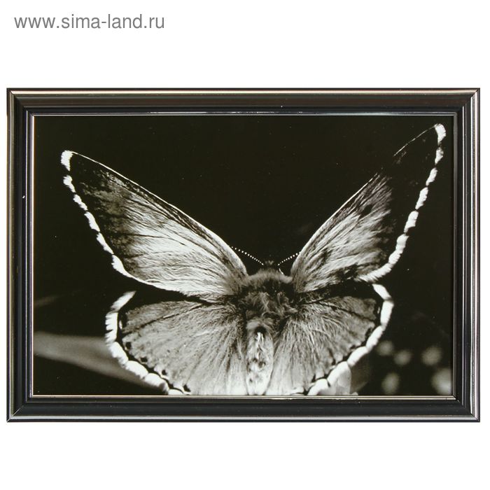 Картина "Бабочка" 23х33 см - Фото 1
