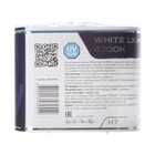 Лампа автомобильная Clearlight WhiteLight, H7, 12 В, 55 Вт, набор 2 шт. - Фото 5