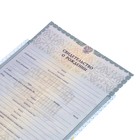 Свидетельство о рождении мальчика "Машинка" - Фото 4