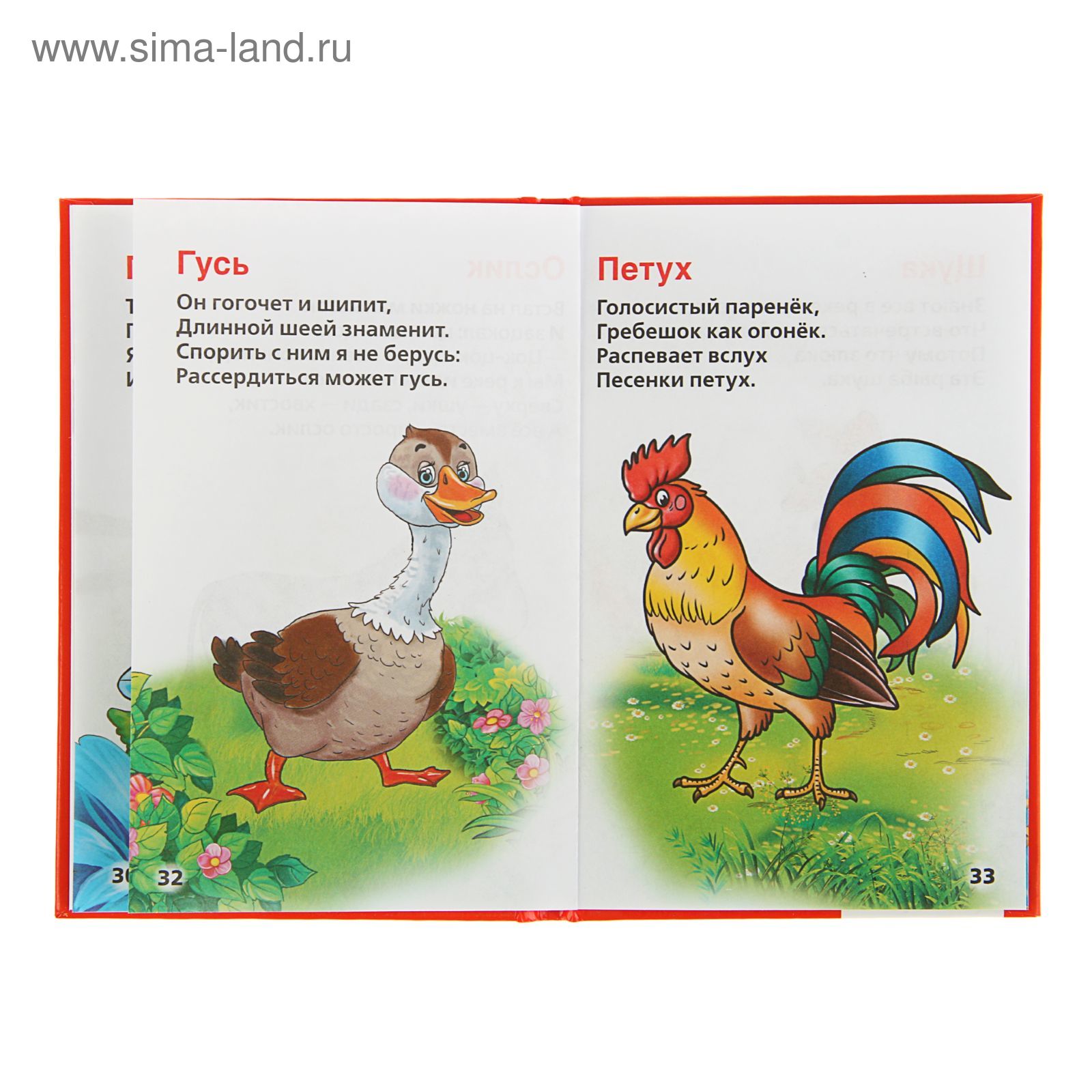 Загадки про домашних птиц