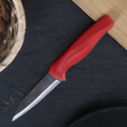 Нож для овощей кухонный Доляна «Оберон» лезвие 9 см, цвет МИКС - Фото 1