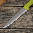 Нож кухонный «Оберон», лезвие 12,5 см, цвет МИКС - Фото 2