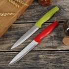 Нож кухонный «Оберон», лезвие 12,5 см, цвет МИКС - Фото 5