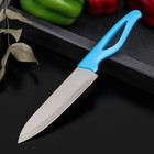 Нож кухонный Доляна «Раймонд», лезвие 14 см, цвет МИКС - фото 321255187