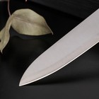 Нож кухонный Доляна «Раймонд», лезвие 14 см, цвет МИКС - Фото 2