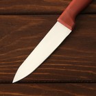 Нож кухонный «Пластиковая рукоять», лезвие 10 см - Фото 2