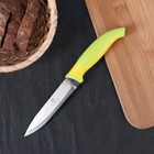 Нож для овощей кухонный «Ассорти», лезвие 11 см, цвет МИКС - Фото 1