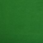 Бумага упаковочная крафт "Травяной", ламинированная, 0,7 х 10 м - Фото 2