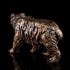 Статуэтка "Медведь", бронза, покрытие лак, гипс, 61х20х34 см - Фото 3