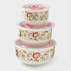 Набор салатников с вакуумными крышками «Ирена», 3 предмета: 300 мл, 600 мл, 900 мл, керамика - Фото 1