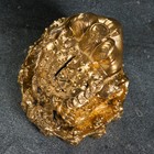Копилка "Жаба фэн-шуй" золото, 18х18см - фото 9746298