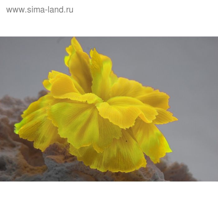 Коралл силиконовый желтый 14х11х9см (SH205SY) - Фото 1