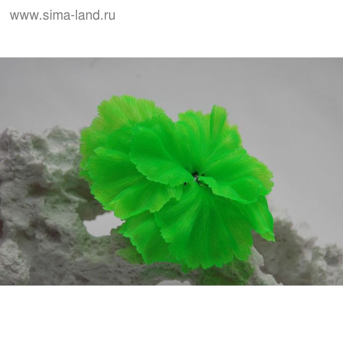 Коралл силиконовый зеленый 14х11х9см (SH205SG) - Фото 1