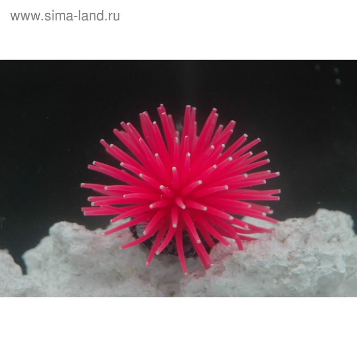 Коралл силиконовый на керамической основе, перламутр, 4.5х4.5х4см (RT172SPI) - Фото 1