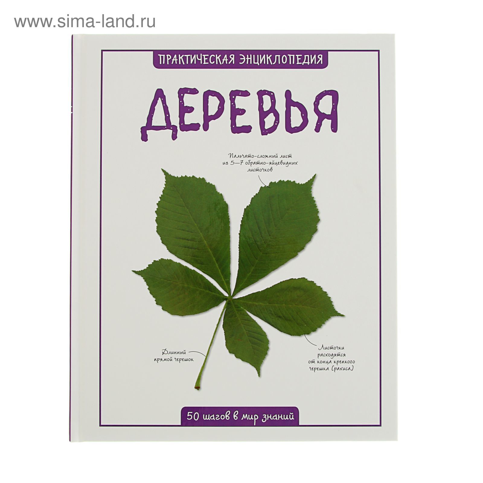 Дерево автор. Энциклопедия деревьев. Энциклопедия дереьвер. Практическая энциклопедия деревья. Книга деревья. Энциклопедия