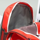 Рюкзак детский "Лиса", отдел на молнии, наружный карман, 2 боковые сетки, усиленная спинка, цвет красный - Фото 3
