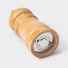 Мельница для специй Доляна «Дуновение леса», 10.5×4.5 см, керамический механизм, бежевая - Фото 7