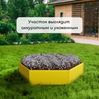 Клумба оцинкованная, d=60 см, высота бортика 15 см, жёлтая, Greengo - Фото 7