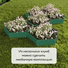 Клумба оцинкованная, d = 80 см, h = 15 см, зелёная, Greengo - Фото 8