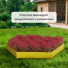 Клумба оцинкованная, d=140 см, высота бортика 15 см, жёлтая, Greengo - Фото 7
