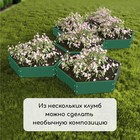 Клумба оцинкованная, d=140 см, высота бортика 15 см, зелёная, Greengo - Фото 7