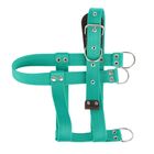 Шлейка капроновая малая Зооник, ОШ 60 см, ОГ 64-86 см, ширина 3,5 см, микс - Фото 2