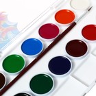 Акварель 12 цветов ErichKrause ArtBerry, с УФ-защитой, пластик, европодвес, с палитрой и кистью - Фото 13