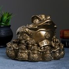 Копилка для денег «Жаба фэншуй», гипс, бронза, 18×18 см - Фото 1