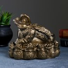 Копилка для денег «Жаба фэншуй», гипс, бронза, 18×18 см - Фото 2