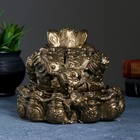 Копилка для денег «Жаба фэншуй», гипс, бронза, 18×18 см - Фото 3