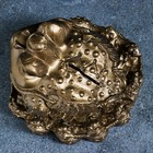 Копилка для денег «Жаба фэншуй», гипс, бронза, 18×18 см - Фото 4