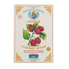 Дидактический материал "Садовые ягоды". Автор: Вохринцева С.В. - Фото 1