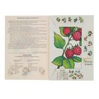 Дидактический материал "Садовые ягоды". Автор: Вохринцева С.В. - Фото 2