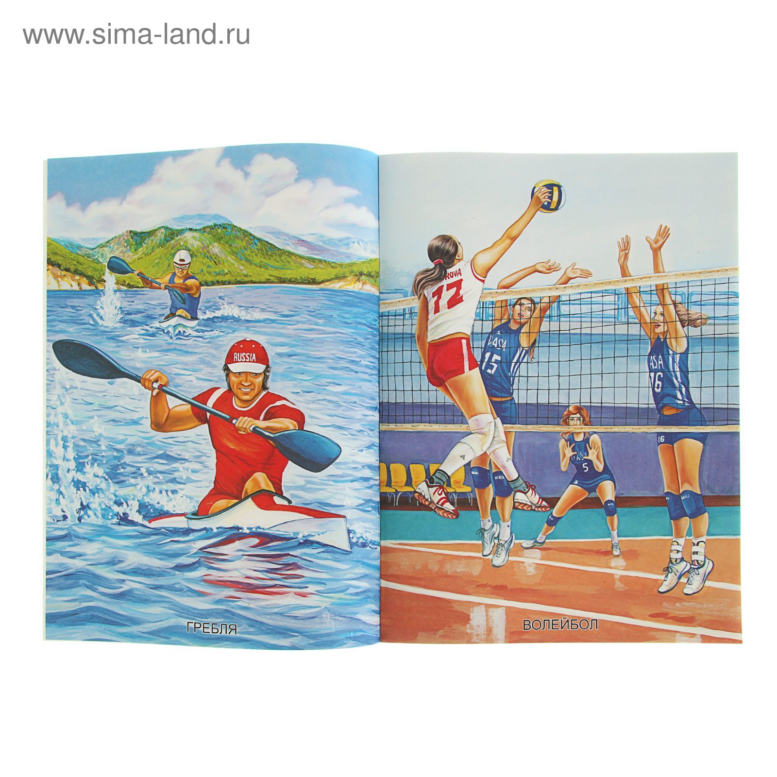 Демонстрационный материал "Летние виды спорта". Автор: Вохринцева С.В ...