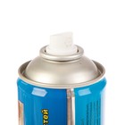 Аэрозоль Инсектицид «Блокбастер», для уничтожения ползающих насекомых, с распылит. трубкой, 600 см3 - Фото 4