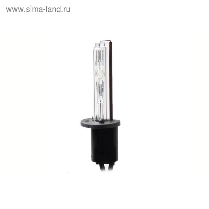 Лампа ксеноновая Sho-Me, H1, 5000к - Фото 1