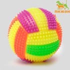 Мяч для собак светящийся с пищалкой "Водное поло", TPR, 7 см, микс цветов - фото 3647089