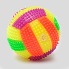 Мяч для собак светящийся с пищалкой "Водное поло", TPR, 7 см, микс цветов - фото 8305616