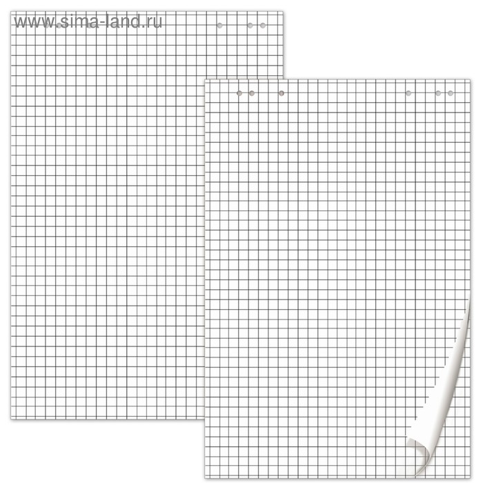 Блокноты для флипчарта в клетку Brauberg, комплект 5 штук по 20 листов, 64 х 96 см, плотность 80 г/м - Фото 1