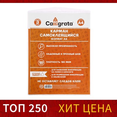 Карман самоклеящийся А4, 223×303 мм, комплект 3 штуки, Calligrata, 180 мкм, на лицевую сторону папок и любые гладкие поверхности