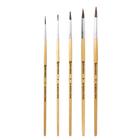 Набор кистей "Пони", 5 штук, BRAUBERG (круглые, № 1, 2, 3, 4, 5), блистер - Фото 3