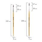 Набор кистей "Пони", 5 штук, BRAUBERG (круглые, № 1, 2, 3, 4, 5), блистер - Фото 4