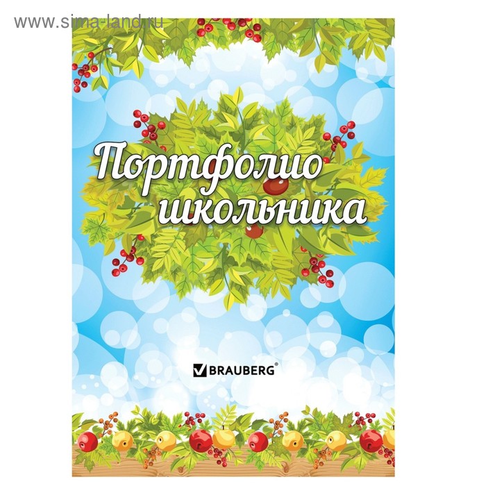 Портфолио школьника BRAUBERG, 16 листов: титульный лист, содержание, 14 разделов "Окружающий мир" - Фото 1