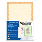 Сертификат-бумага А4, 25 листов, 115 г/м, в суперобложке, Оранжевый интенсив - Фото 2
