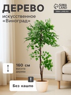 Виноград 2