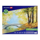 Холст на картоне 40×50 см, хлопок 100 %, 2 мм, акриловый грунт, среднезернистый, BRAUBERG ART CLASSIC - Фото 2